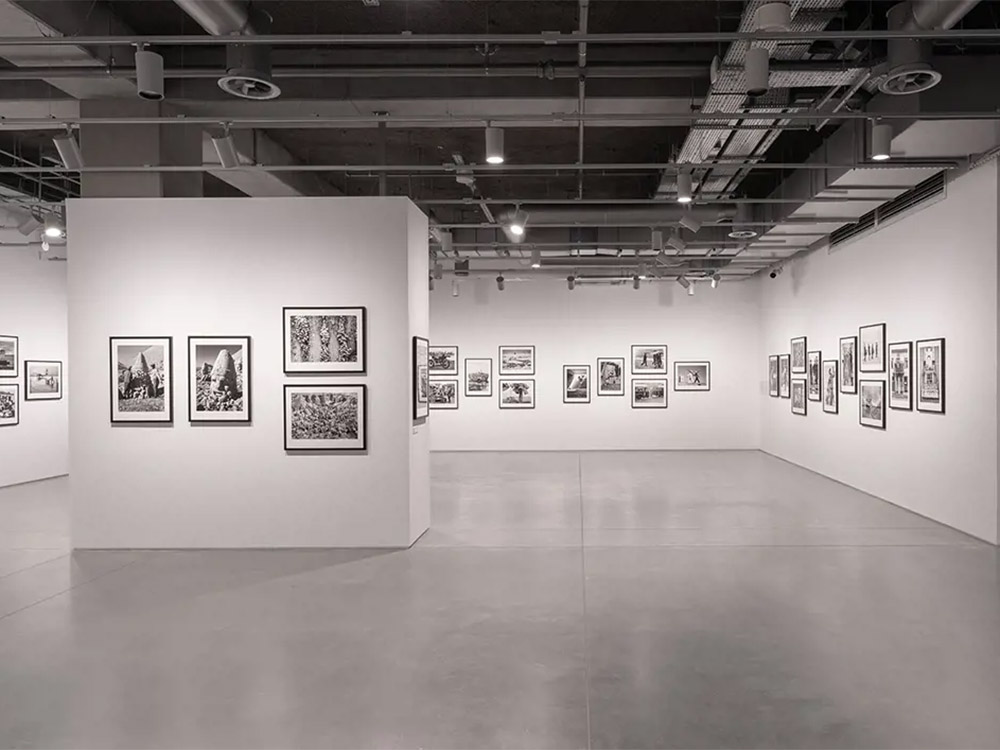 Art and Culture in Istanbul: The Best Galleries in Beyoğlu
