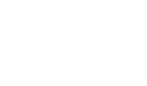 The Soul Hotel