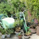 Where to Find a Quiet Garden Oasis in Beyoğlu?