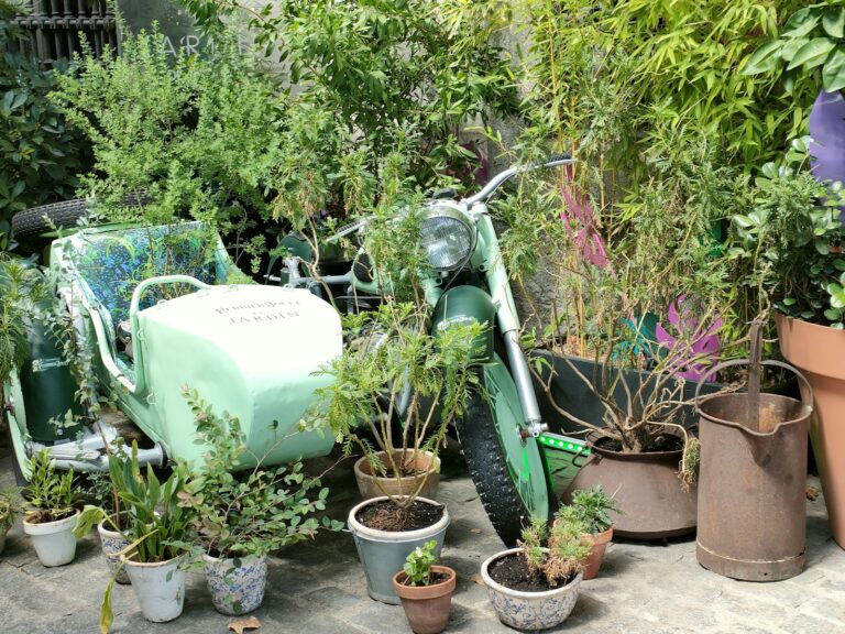 Where to Find a Quiet Garden Oasis in Beyoğlu?